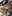 Global Street Food